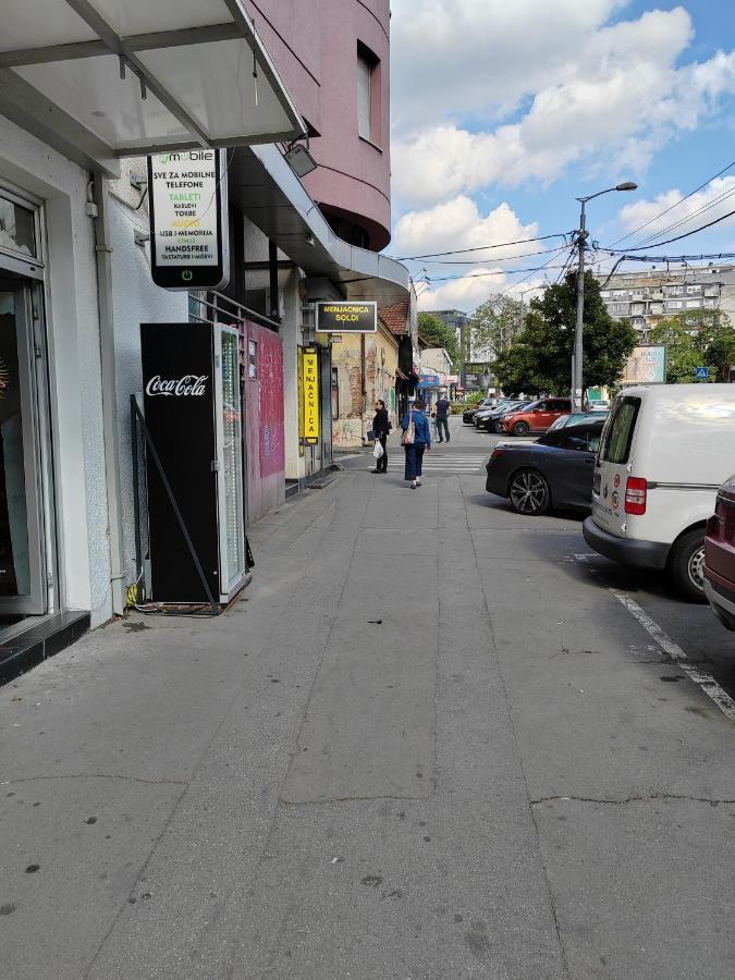Magenta Vracar Lägenhet Belgrad Exteriör bild